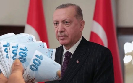 e-Devlet Üzerinden 24 Bin TL Geri Ödemesiz Yardım Başladı